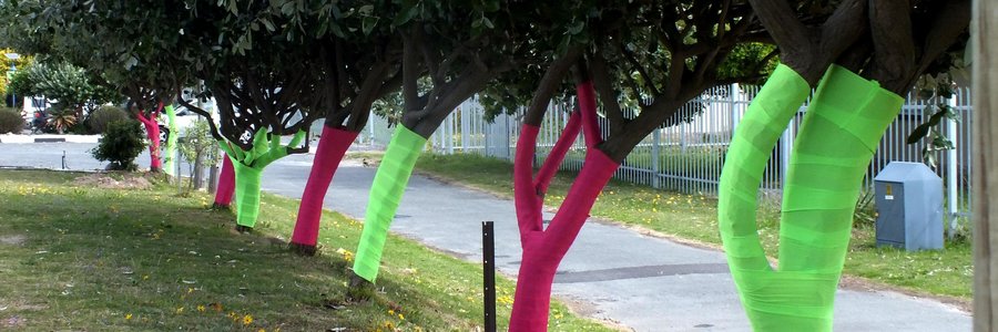 Die groen- en pienk versierde bome in Hoofstraat vir Bors-kankermaand is deur Chrizulene van Niekerk geÃ¯nisieer is, met die ondersteuning van Gansbaai Toerisme- en Gansbaai Sakekamerlede en Gansbaai Superspar. Pienk simboliseer Bors-kankermaand en Groen simboliseer â€œLife Eco - Live life to the fullestâ€. Gansbaai Toerisme rig â€˜n uitdaging aan inwoners om dieselfde met bome by hul wonings te doen. 